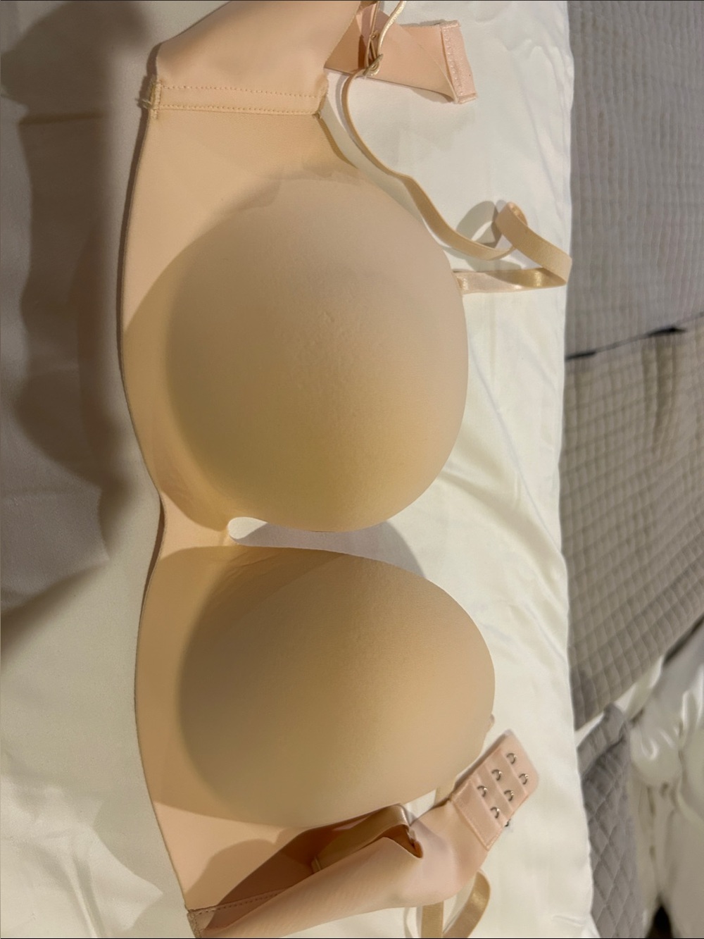 Sophie b  pushup Bra -36c no wire